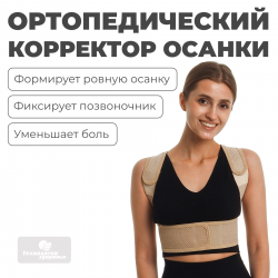Корректор осанки 30 см, L (85-100) Технологии здоровья  HT-KP-012